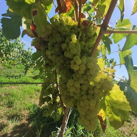 Quinta Santa Lucrecia Braga